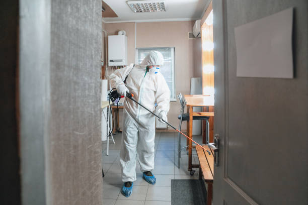 Best Biohazard Mold Removal  in Earlington, KY
