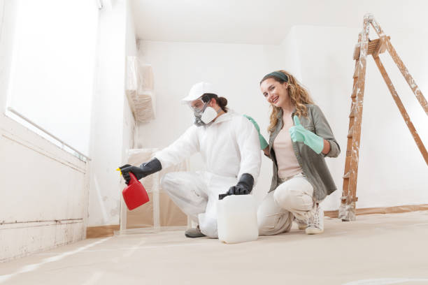 Best Mold Odor Removal Services  in Earlington, KY